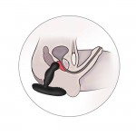 LEVETT - Ancus Prostate Massager