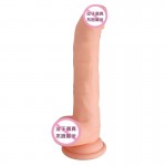 APhrodisiA - The Master Dong ( USB Rechargeable)
