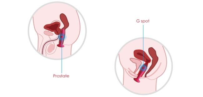 Message Prostate and g sport